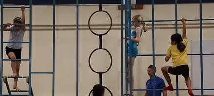 Children using wall bars in a school hall